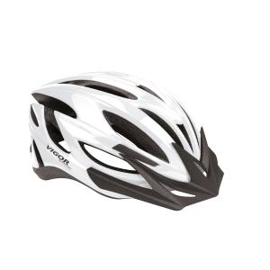 VFT 02 12 fast track silver helmet