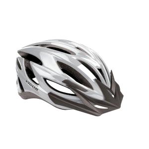VFT 02 12 real fast track silver helmet